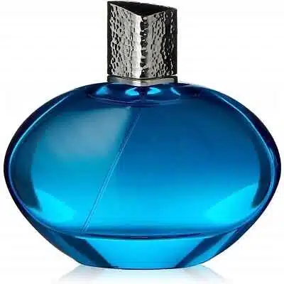 elizabeth arden mediterranean 100ml edp spray for her copy