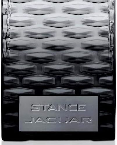 jaguar stance